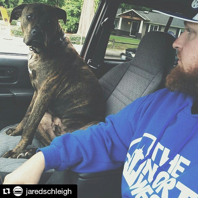 Be the Person Your Dog Thinks You Are