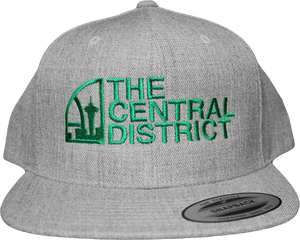 The Central District CD Snapback