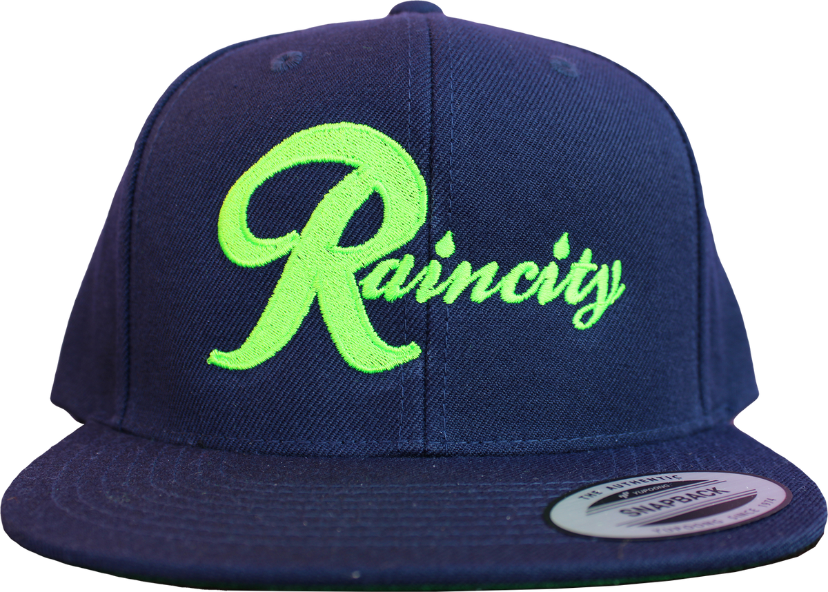 Raincity Snapback - image 2 of 5
