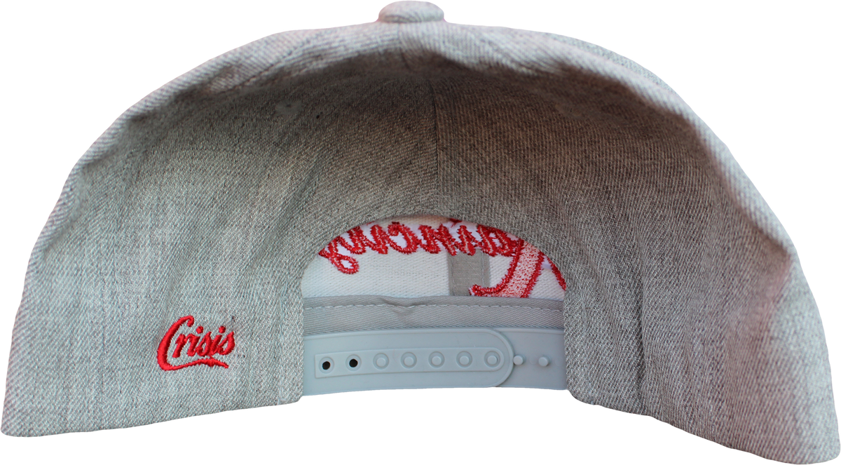 Raincity Snapback - image 5 of 5