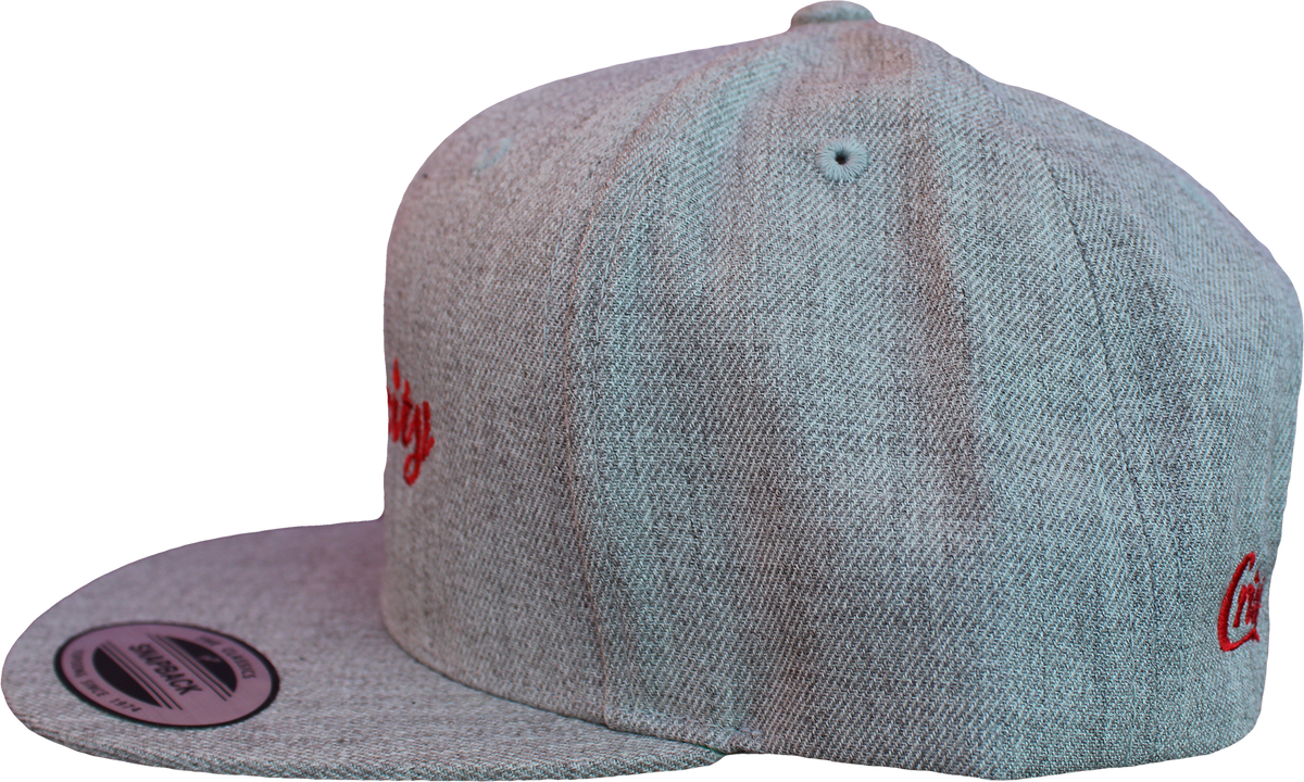 Raincity Snapback - image 4 of 5