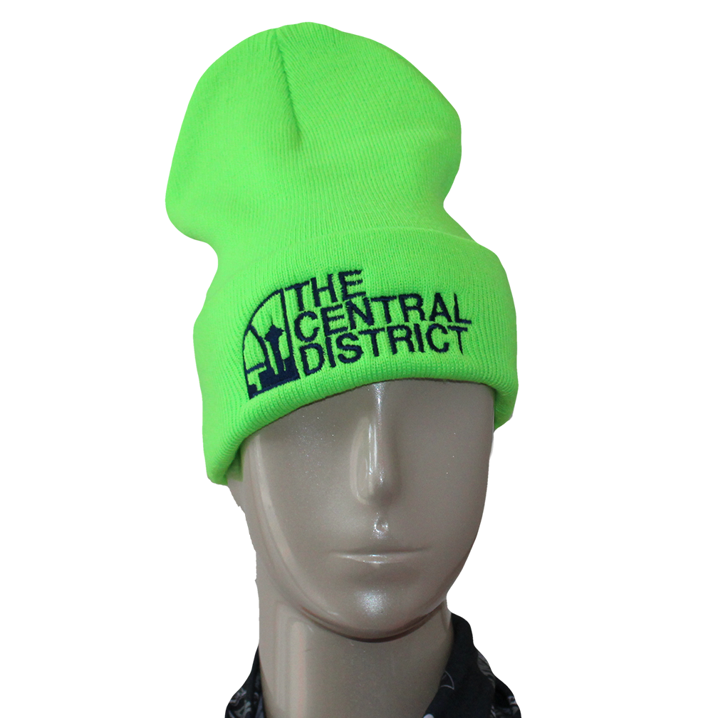 The Central District Beanie - image 1 of 4