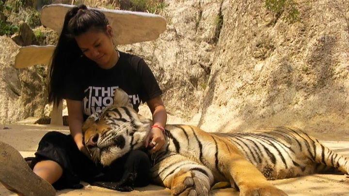 Our friend Selina sent us this pic from Thailand
