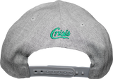 The Central District CD Snapback - image 2