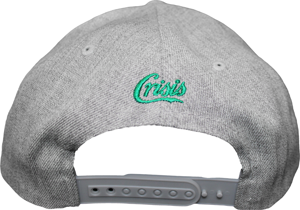The Central District CD Snapback - image 2 of 3